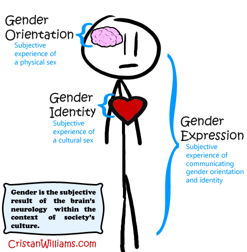 Gender Identity And Gender Roles
