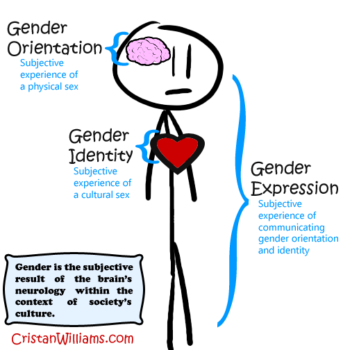 Terminology The Terfs 